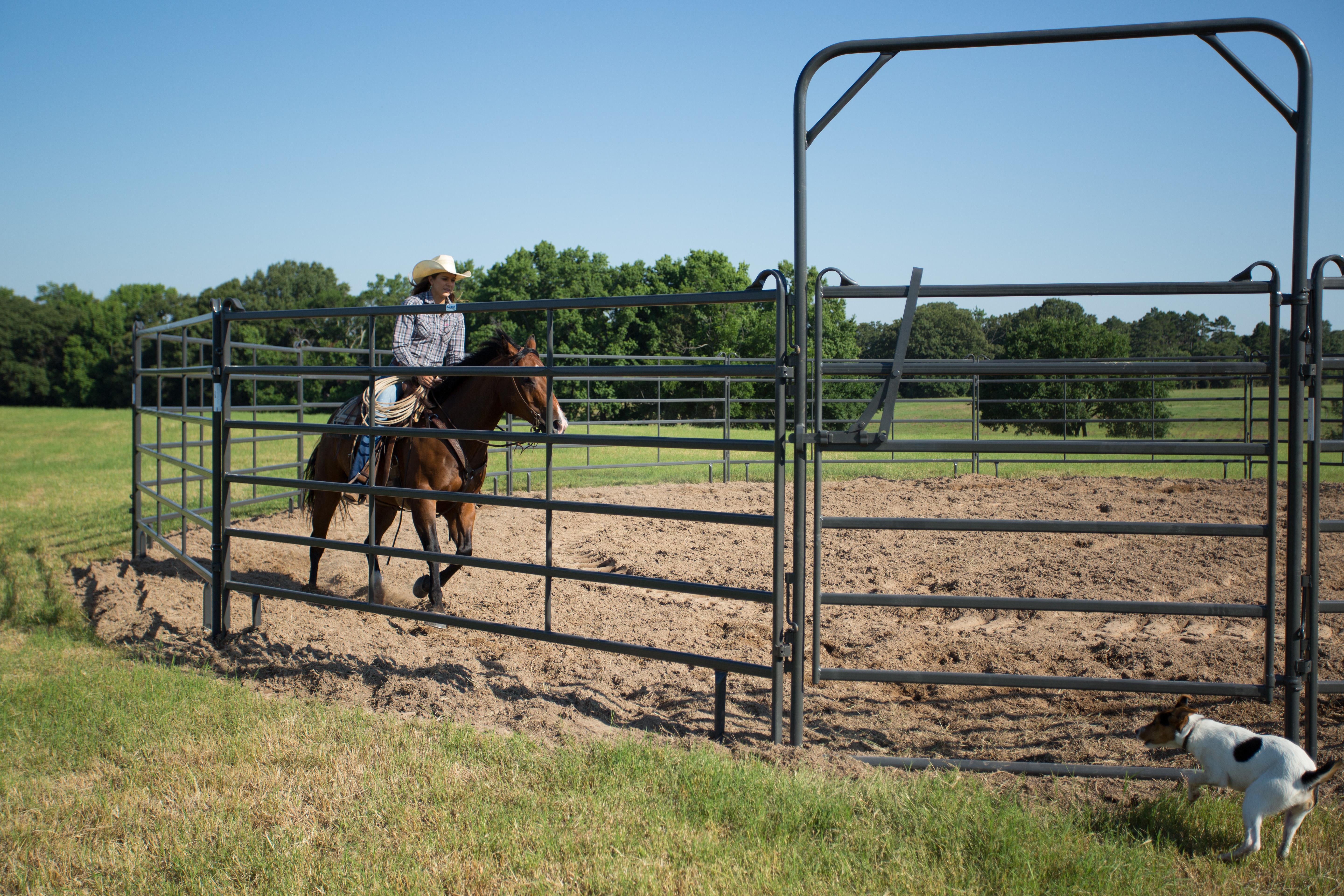 Premier Tall Round Pen PPT50 103.jpg